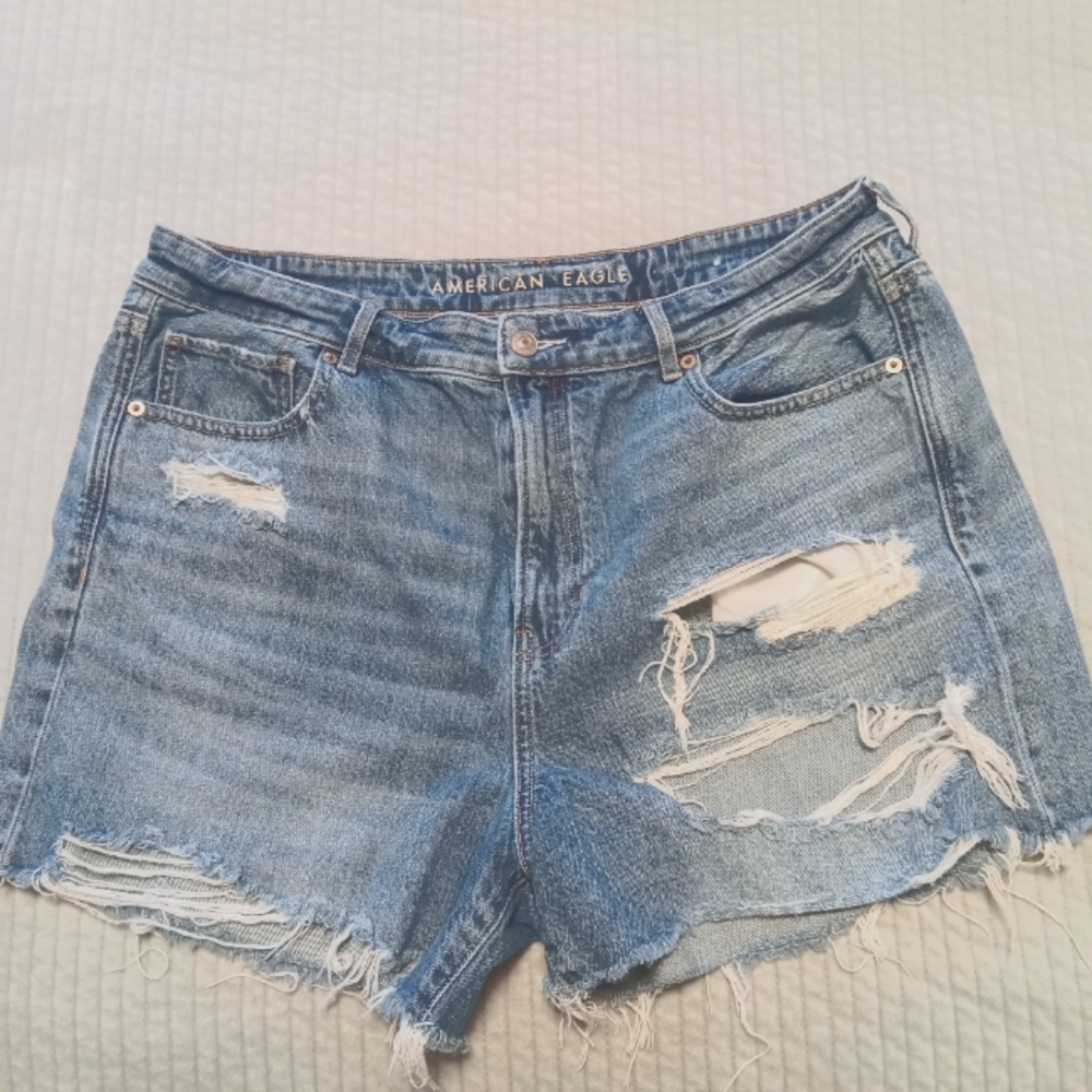 American Eagle Outfitters Mom Shorts Size 16